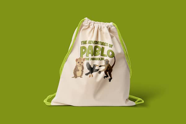 Backpack 2
